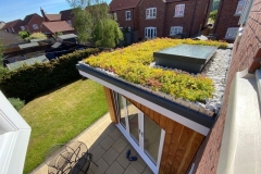M-Tray-green-roof-domestic-extension-1