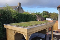 M-Tray-sedum-garden-room-green-roof-3