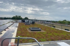 Turing-House-Wildflower-M-Tray-near-Solar-Panels-Pic-31-1
