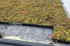 Wildflower-M-Tray-being-laid-onto-Geotextile-on-Roof-of-Turing-House