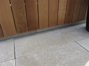 ASP Adjustable Paving Support Pedestals