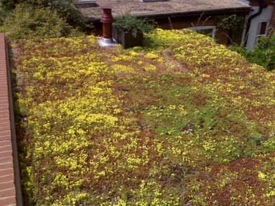 kew-after
