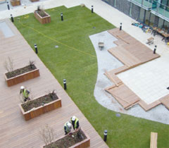 Green Roof Drainage