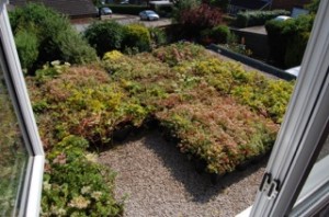 Modular Green Roof Products