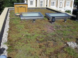 Green Roof Accessories