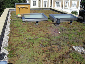 Green Roof Accessories