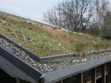 Biodiverse Roof Systems UK