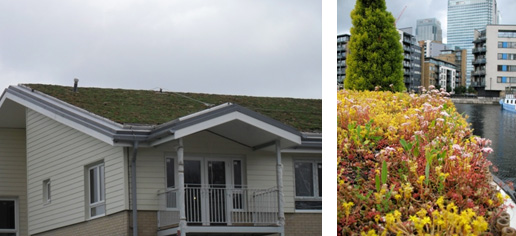 Extensive Green Roof