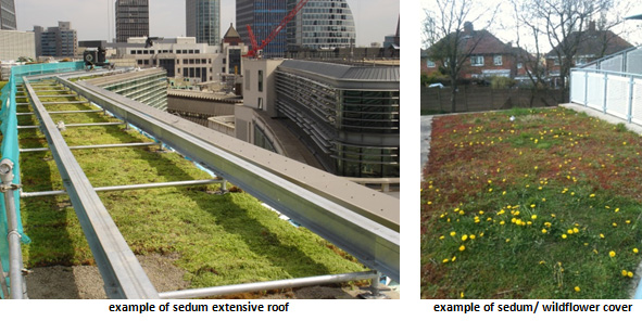 Green Roof