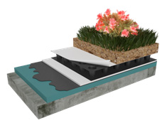 Extensive Green Roof Systems
