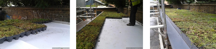 Green Roof