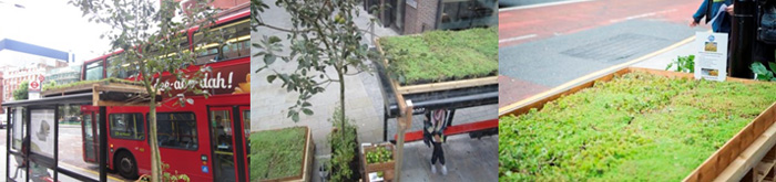 Green Roof