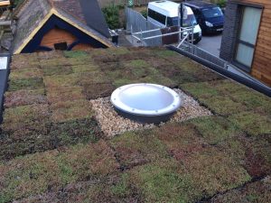 Sedum Green Roof System