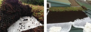 Eco Friendly Roofing Materials