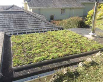 The Key Role Green Roofs Can Play in Helping to Protect Against Flooding