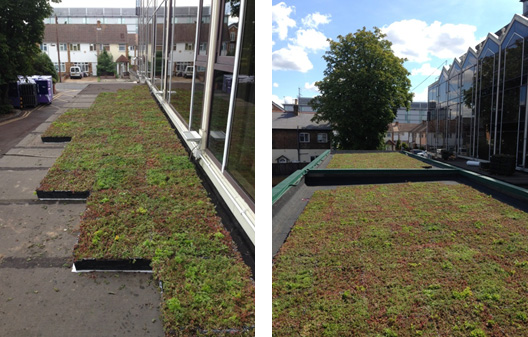 Lightweight Green Roof Systems