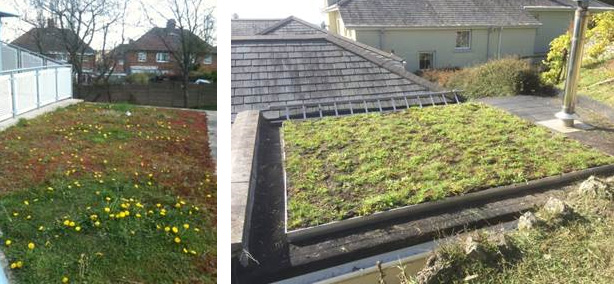 Modular Green Roofing Systems