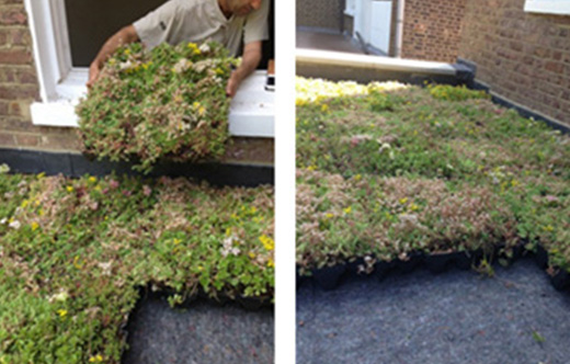 Green Roof Manufacturers