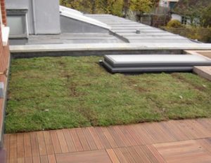 How To Build a Green Roof