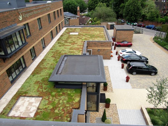 An image of a green roof installation at Victoria Drive Care Home, Wimbledon