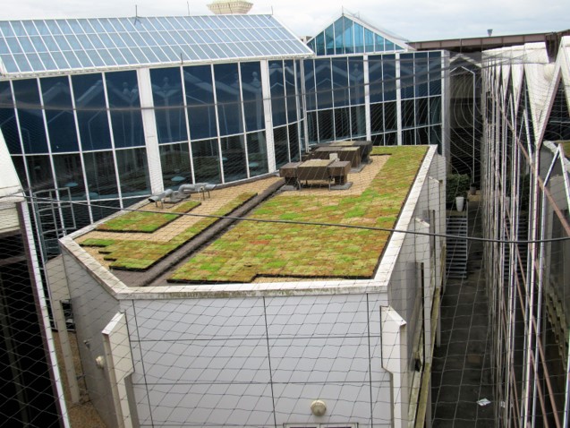 An image of a green roof installation at the Radisson Blu Hotel, Heathrow