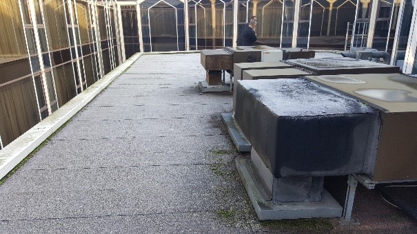 An image of a green roof installation at the Radisson Blu Hotel, Heathrow