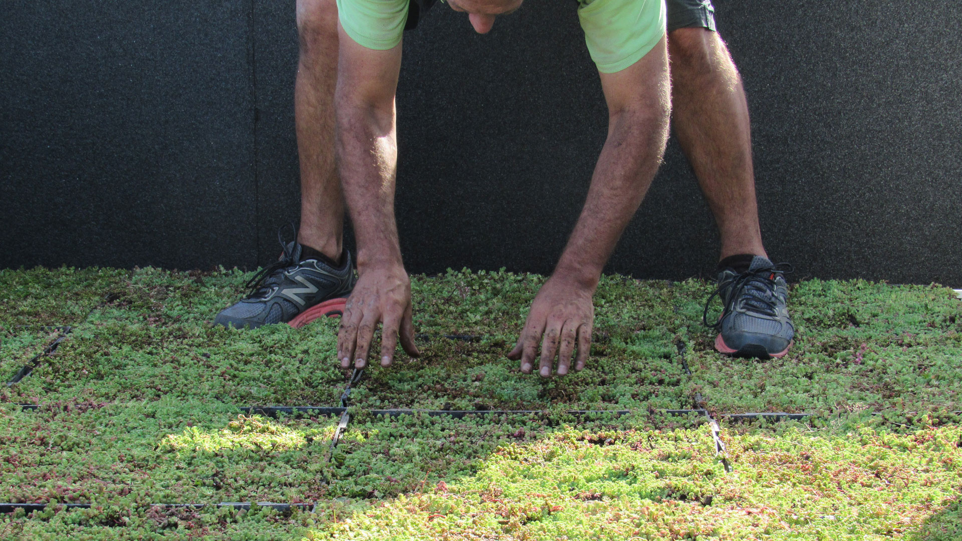 The Importance of Periodic Green Roof Maintenance