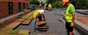 An image of the team installing a new green roof to the top of a building