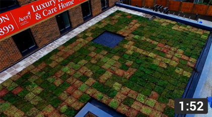 How To Build A Green Roof