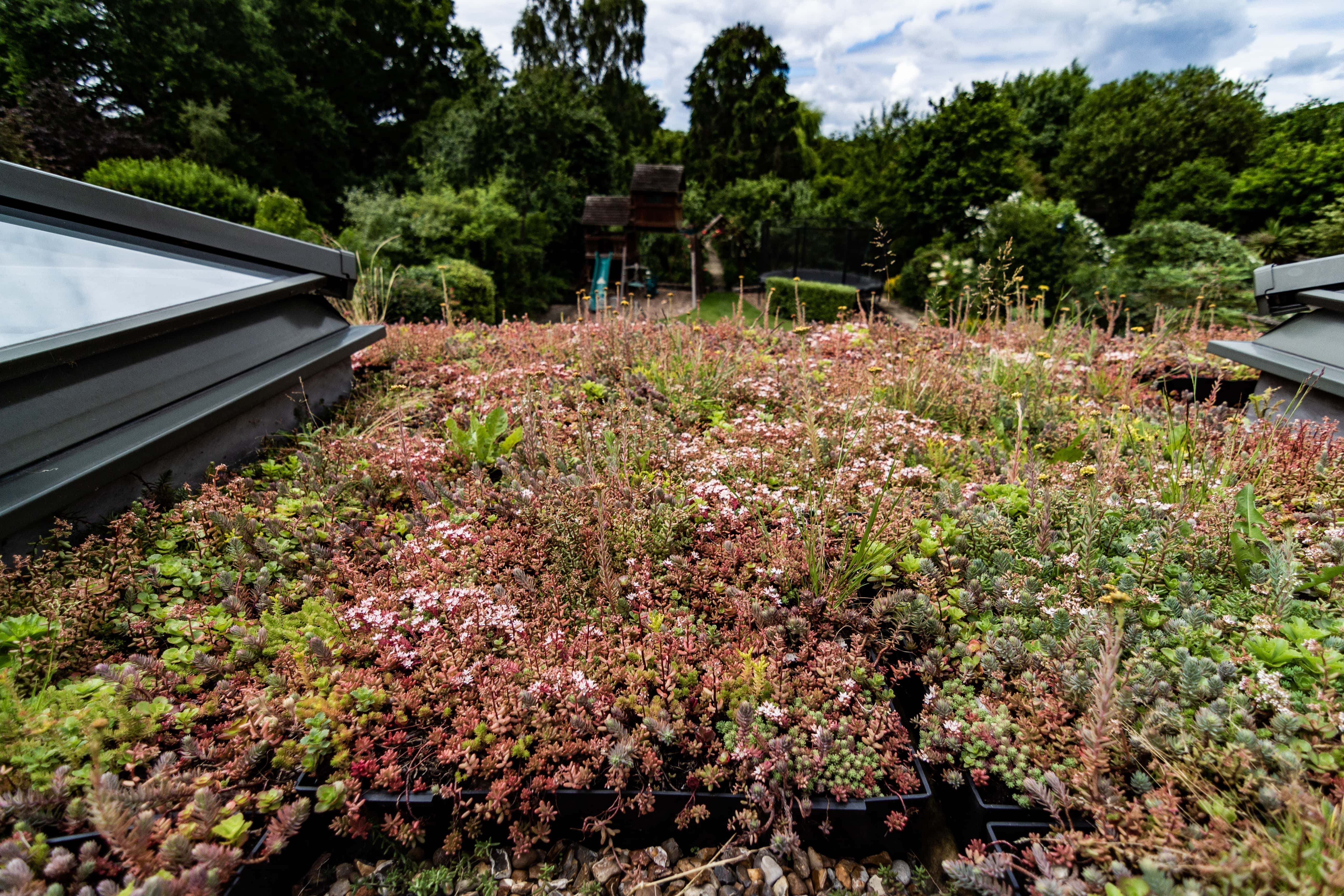 Green Roof – Frequently Asked Questions