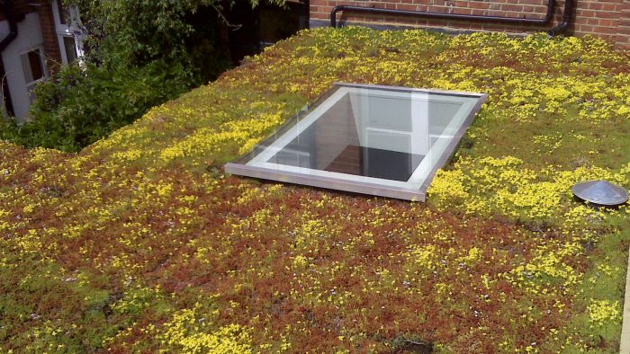 The Benefits Of a Roll-Out Green Roof