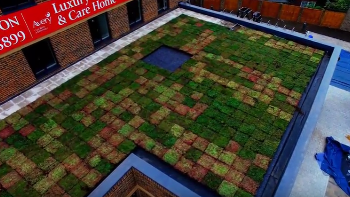 How Can Green Roofs Help To Improve Mental Health?