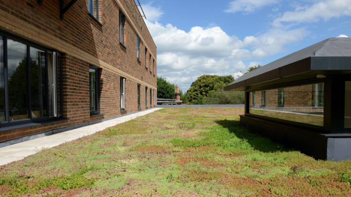 An image of a green roof on top of a building