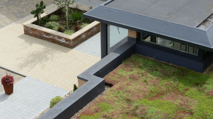 Guidelines for Biodiversity Green Roofs Released for Melbourne, Australia