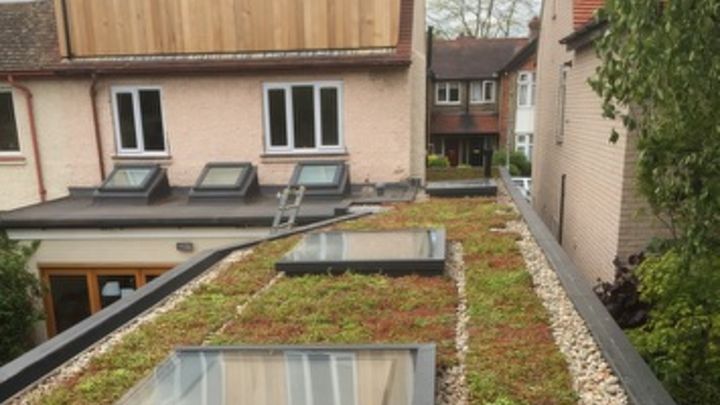 What Can Rotterdam Teach Us About The Power Of Green Roofs