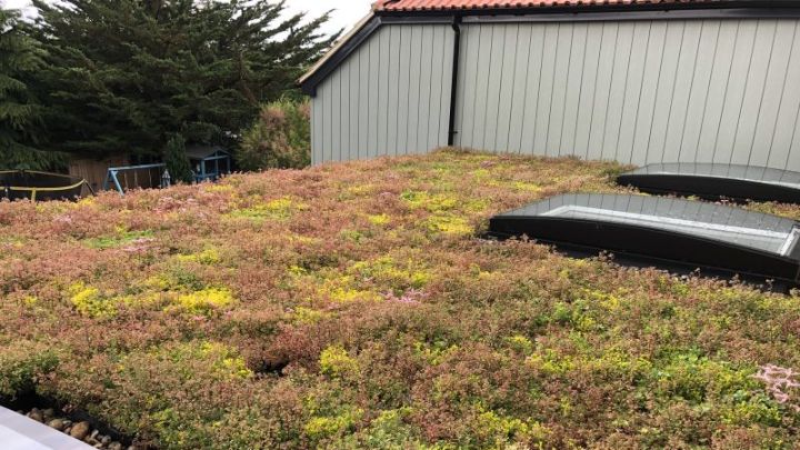 Green Roof: now is the time