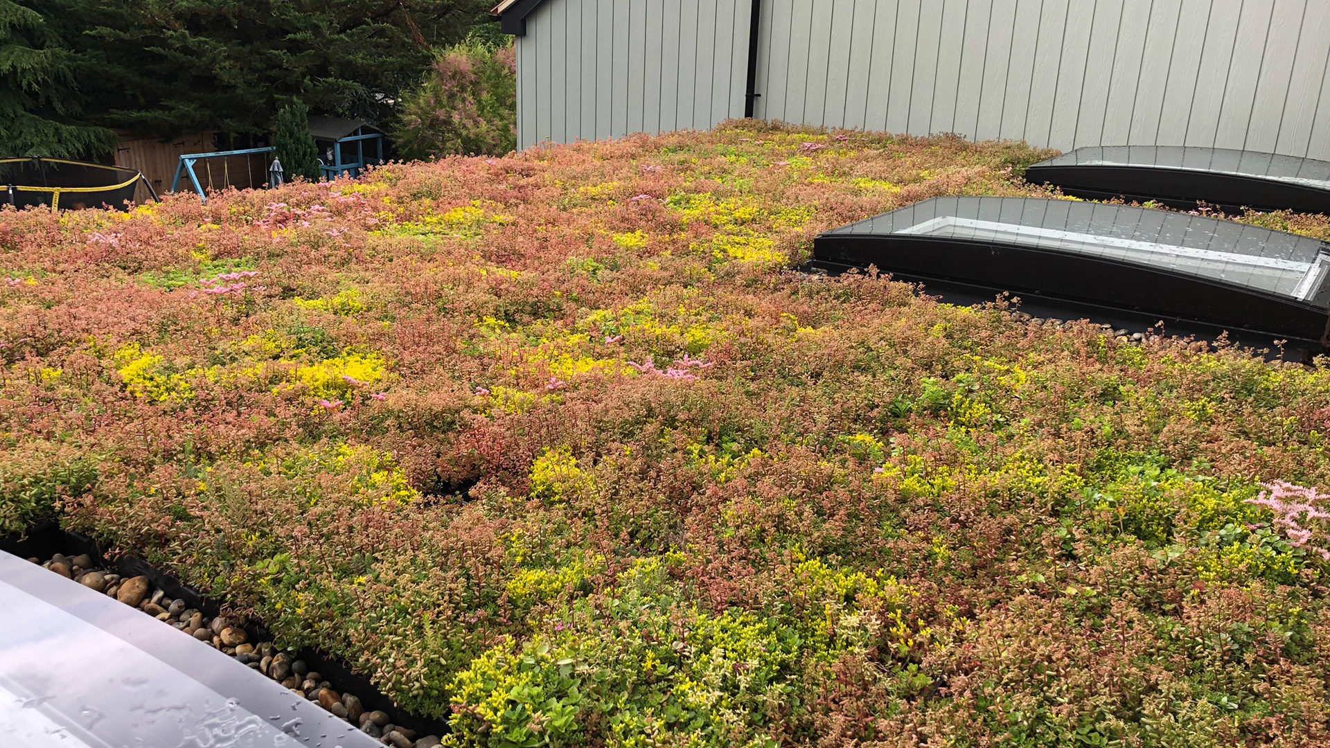 Green Roof, Whitstable