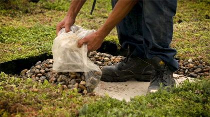 Pebbles being added to a green roof project in Hammersmith, London