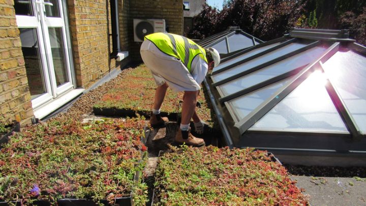 An image of a green roof installation on a house