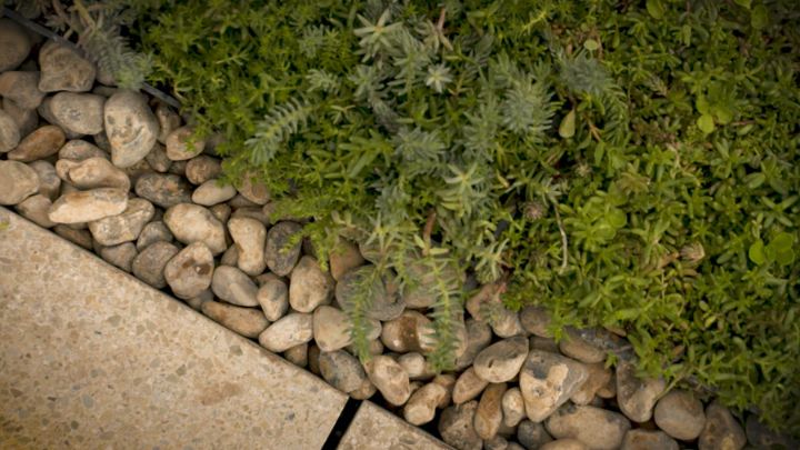 A close-up of completed M-Tray green roof installation|An overhead shot of a green roof