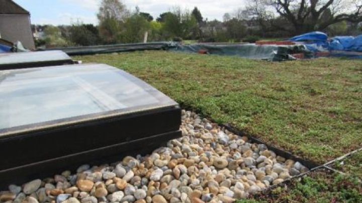 An image of a completed green roof installation