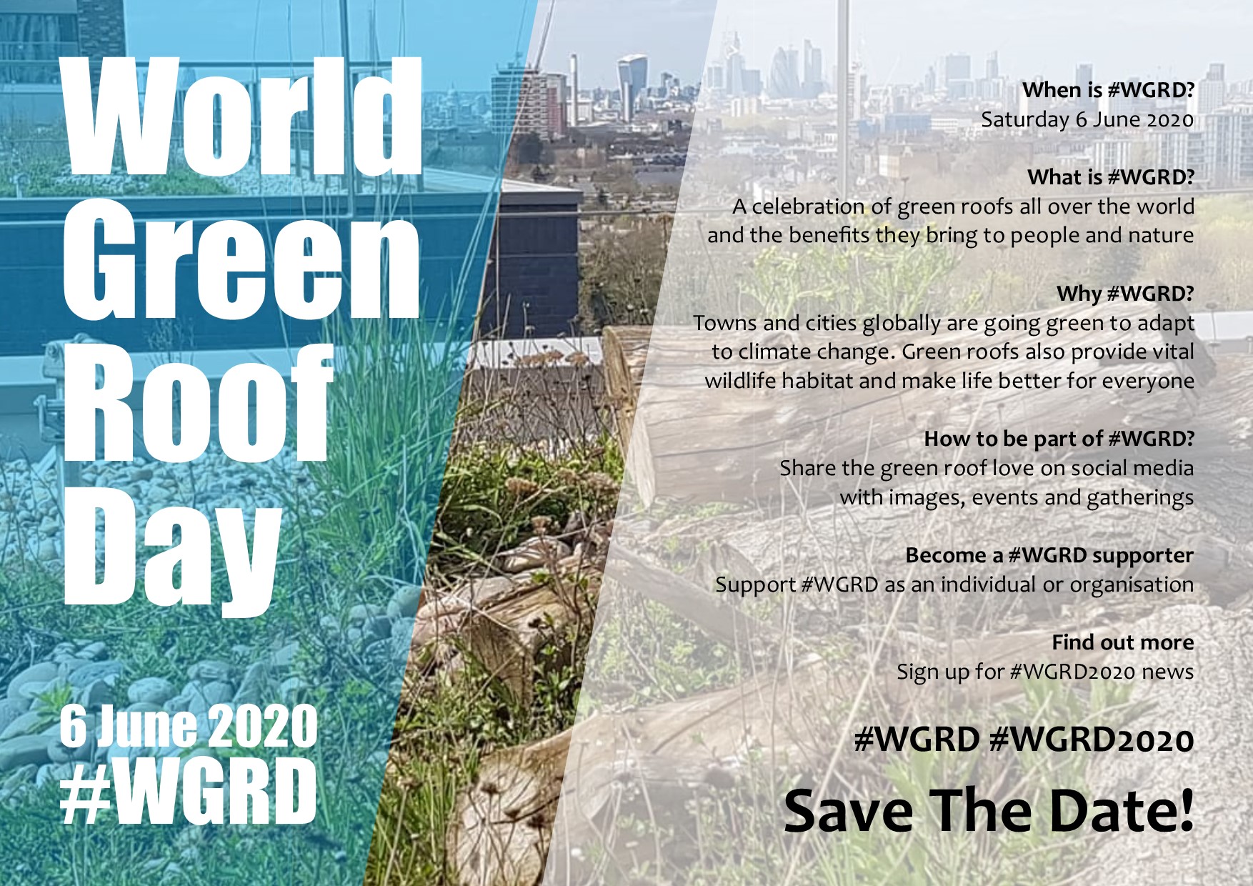 World Green Roof Day Will Return