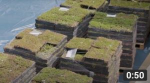 how-to-M-Tray-Ease-of-using-modular-system