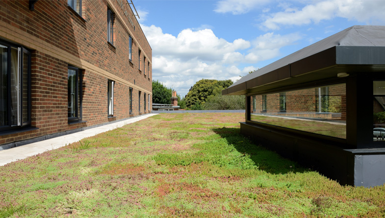 Remaining At The Forefront Of The Green Roofing Sector