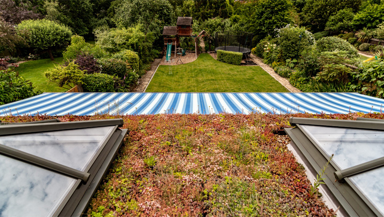 How To Create The Perfect, Instant Green Roof