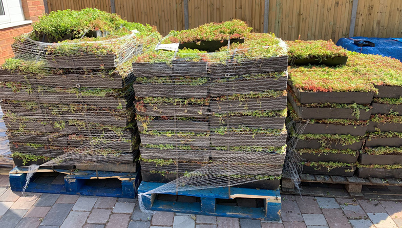 M-Tray green roof on pallets