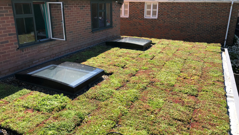 green roof install single storey roof