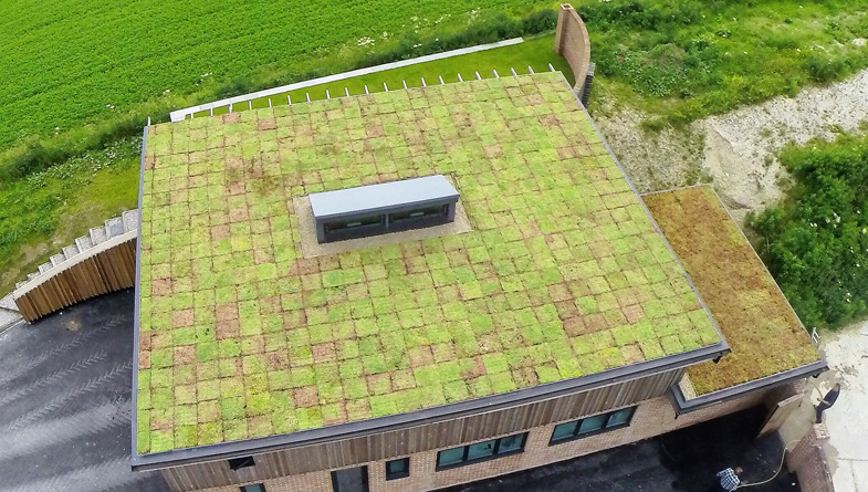 Green roof Yorkshire