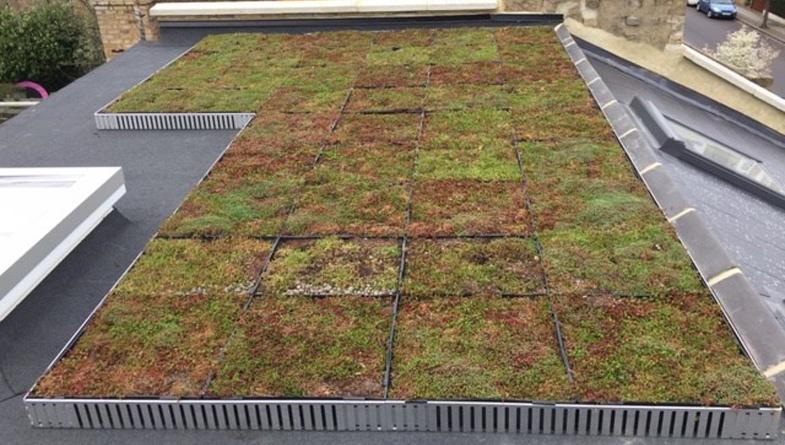 Green roof single storey extension