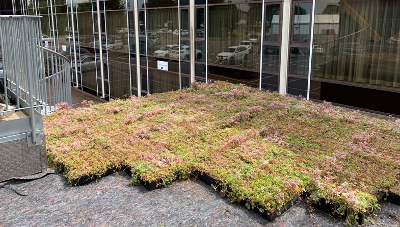 How to install a green roof - Radisson hotel
